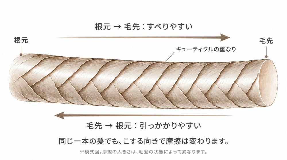 きちんと整えて寝たのに 朝の髪が絡まっている理由