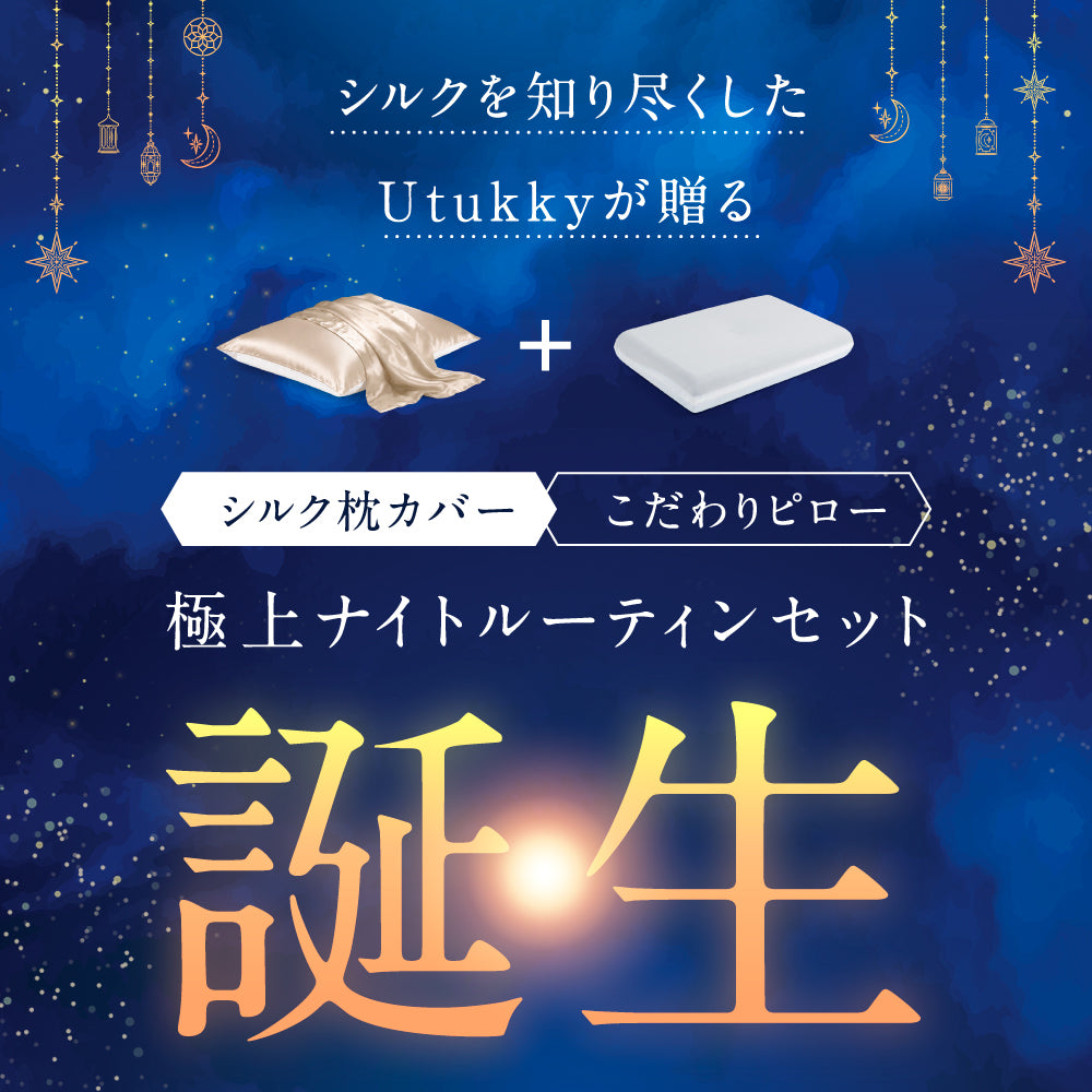 絹もち枕セット（低反発枕+シルク枕カバー）