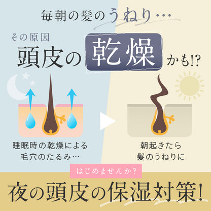 シルク100% 枕カバー 片面/両面  封筒式 伸縮式